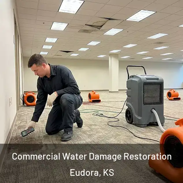  Commercial Water Damage Restoration Eudora, KS